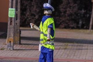 Policjant drewniak pilnuje porządku przy drodze na Mazurach. Sprawa trafiła na policję