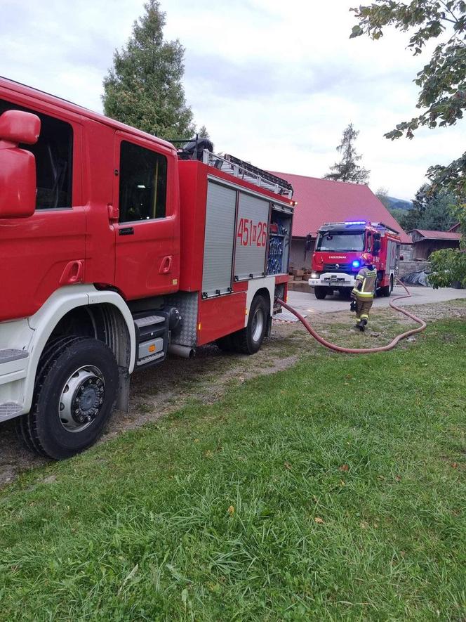 Wilkowisko. Straszny pożar pozbawił domu Barbarę i trójkę jej dzieci. Podpalacz nie miał litości dla rodziny