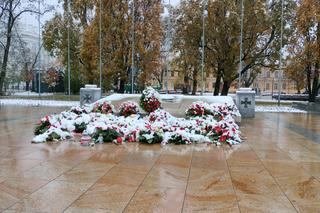 Pierwszy śnieg w tym sezonie! Lublin jest ukryty pod zimową pierzynką 