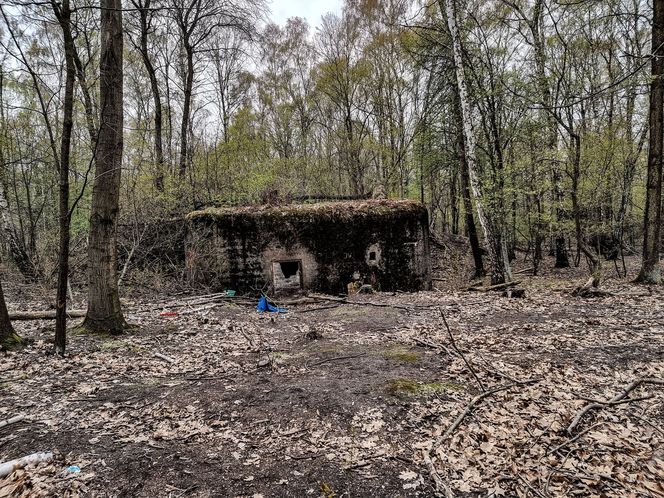 Zamordowali Karinę i Kamila dla szatana. Czy zło wciąż błąka się po bunkrze w Halembie?