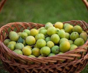 Mało znane polskie owoce. Wspierają serce i odchudzanie