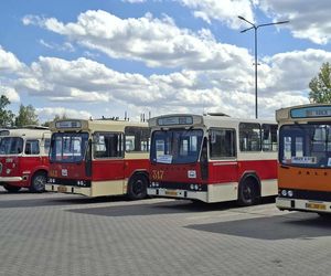 II Zlot Zabytkowych Autobusów w Starachowicach