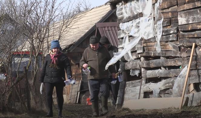 Rolnicy. Podlasie. Gienek i Sławek bielą drzewka. "Idzie jak krew z nosa"