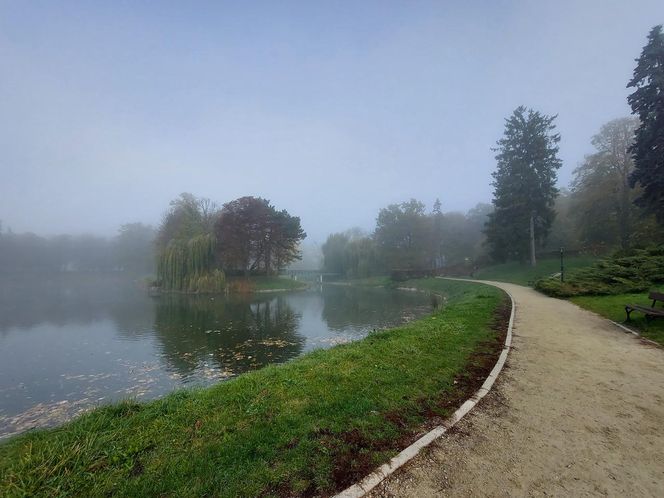 Zamojski Park jesienią