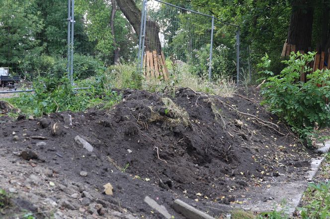 Rewitalizacja parku Bronowickiego w lublinie - postęp prac na koniec lipca 2025