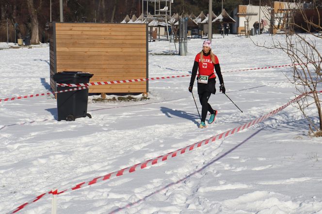 Bieg Zwycięskiego Powstania Wielkopolskiego nad Strzeszynkiem