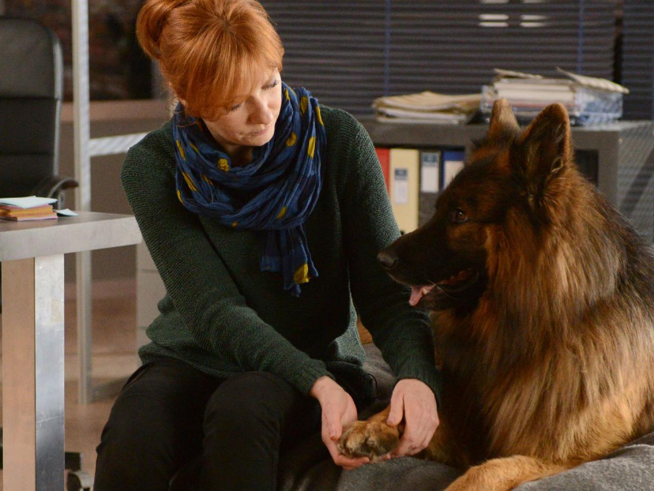 Komisarz Alex 14 sezon odcinek 169 - opis, streszczenie: Morderstwo biznesmena i kochanka w piwnicy pełnej żmij