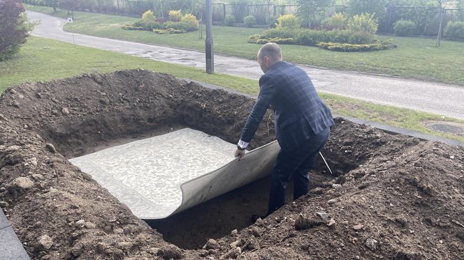 Dywany Agnella Brintons. Kolekcja 2025