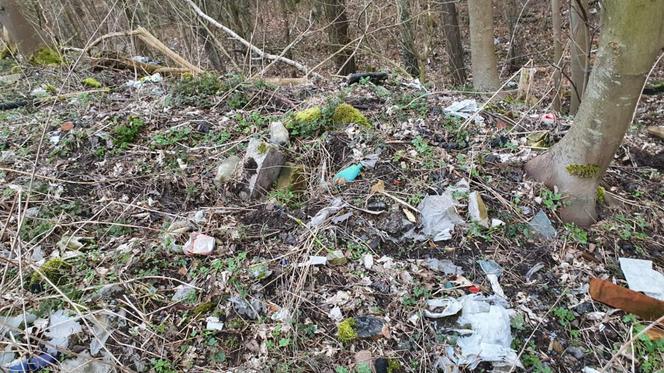 Wysypisko śmieci w Świnoujściu stanie się miejscem spacerów i odpoczynku 