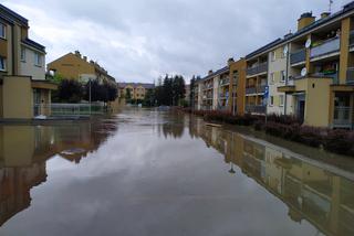 Kraków: rzeka przerwała wał powodziowy. Zalało budynki mieszkalne. Sytuacja jest poważna [ZDJĘCIA]