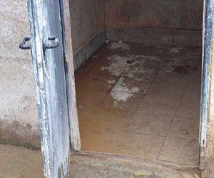 Skandal w pseudohodowli pod Krakowem! Psy żyły we własnych odchodach. Właścicielce grozi więzienie