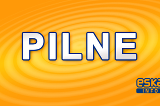 Wybuch gazu w domu jednorodzinnym. Psy przeszukują gruzy