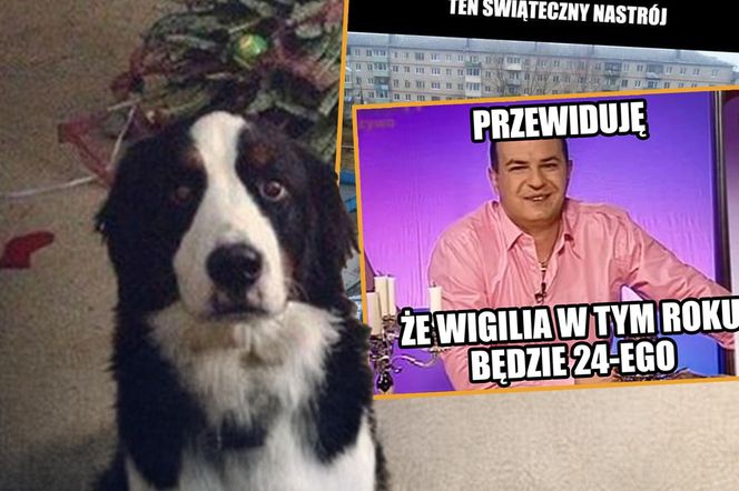 Memy na Święta 2024 - śmieszne obrazki świąteczne