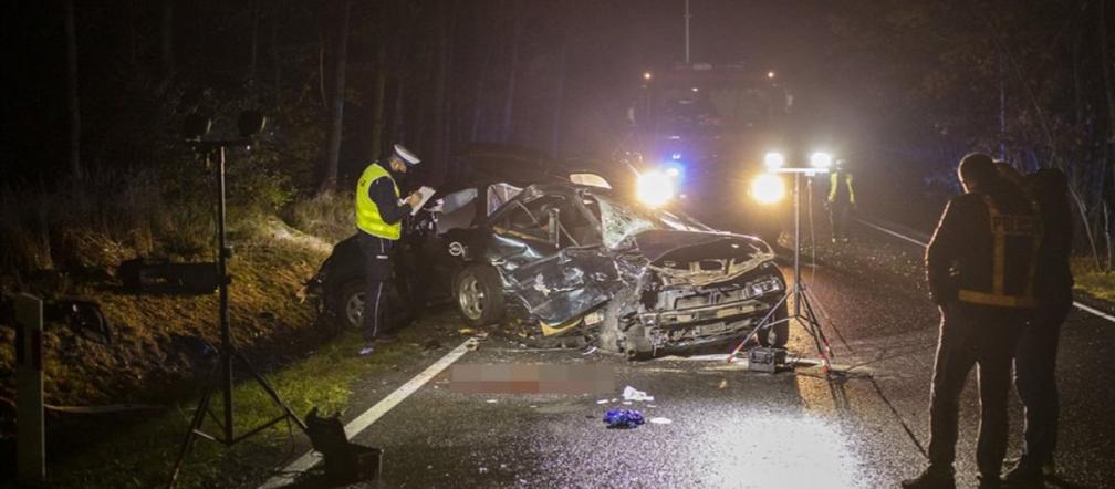 Tragiczna śmierć na DK11. Kierowca uciekł do Bielska-Białej! To 71-letnia kobieta [ZDJĘCIA]