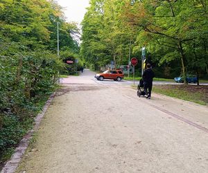 Usterki na Alei Fałata