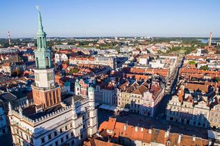 Koziołki na każdym rogu czy może gaduławki? Pomysłów na Poznański Budżet Obywatelski jest wiele