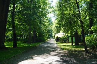 Nietypowe ciekawostki o Białymstoku