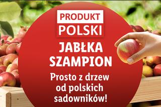 Jabłka za grosze od polskich sadowników: Ryneczek Lidla zaskakuje pozytywnie