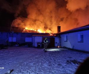 Lubuskie: Tragedia pod Gorzowem. Pożaru nie przeżyło niemal 6 tysięcy indyków!