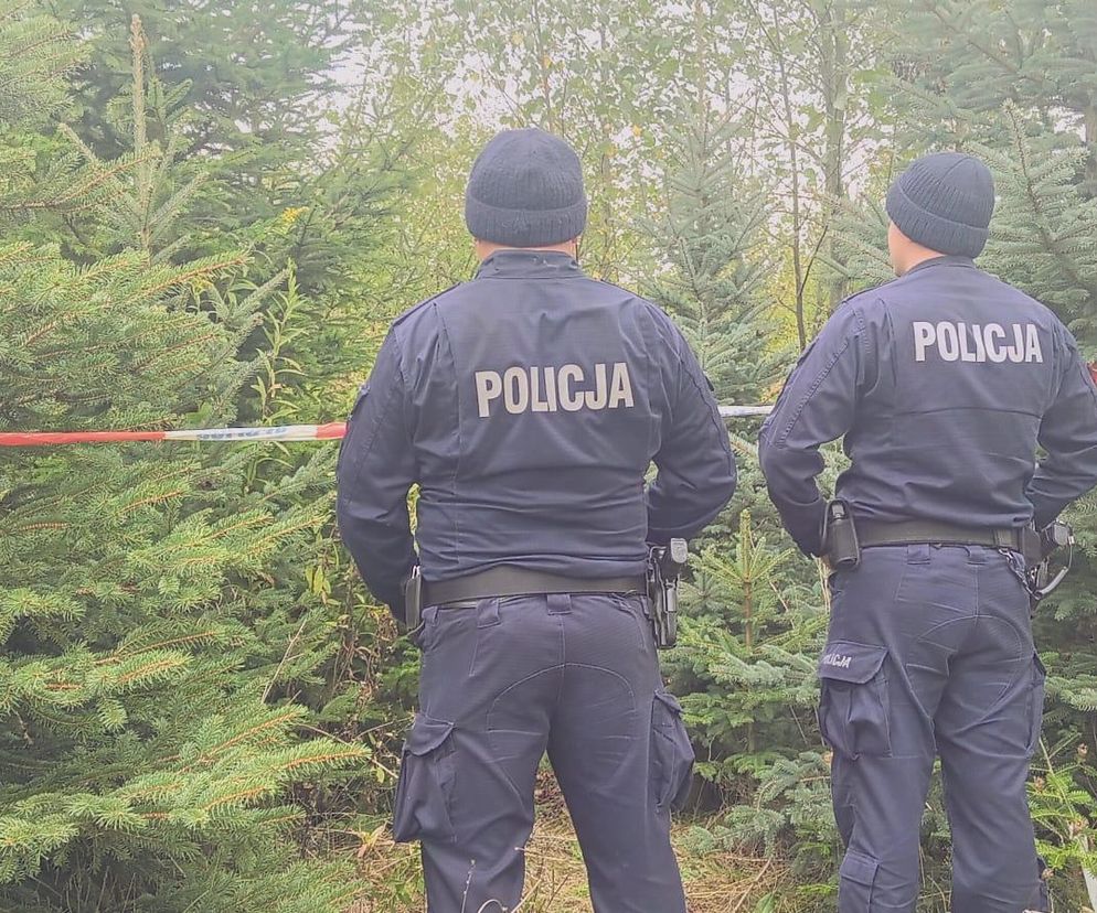 Poszukiwania Józefa K. zakończone