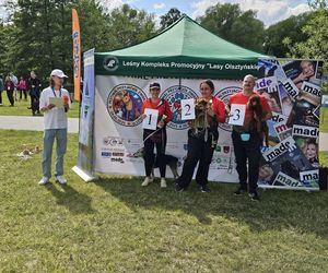 Festiwal Przyjaciół Zwierząt w Olsztynie. Park Centralny opanowały radosne pieski