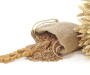 Orkisz i mąka orkiszowa - właściwości, wartości odżywcze