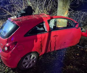 Huknął oplem w drzewo, pień przepołowił auto. Tragedia w Nowym Dworze Mazowieckim