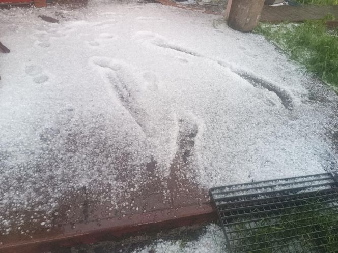 Zniszczone plantacje warzyw i owoców na Dolnym Śląsku. "To był prawdziwy armagedon" 