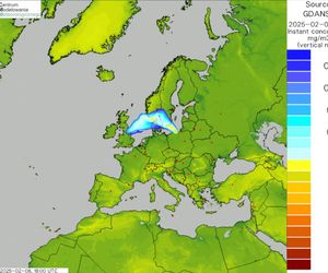 Tak daleko mogła dotrzeć chmura dymu z pożaru na przeróbce