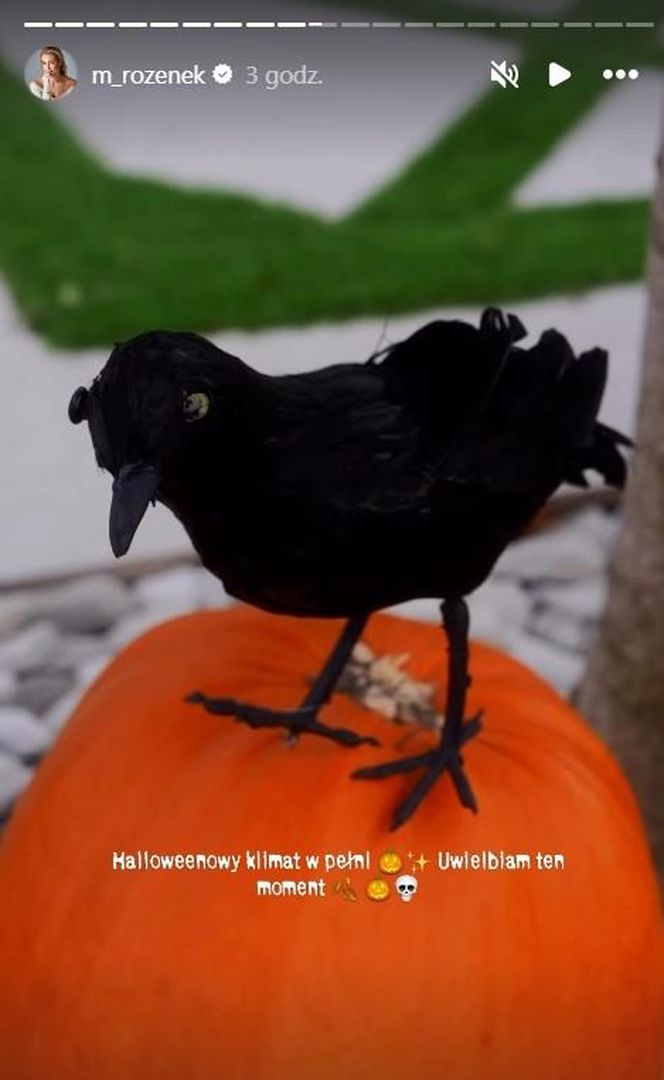 Małgorzata Rozenek-Majdan