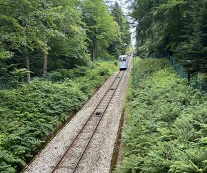 Krynica-Zdrój - zwiedzanie i atrakcje. Co tu zobaczyć i ile to kosztuje?