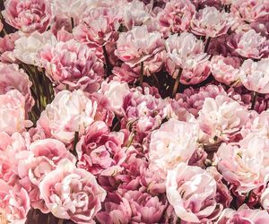 Życzenia na imieniny Krystyny 13.03.2025. Mamy darmowe wierszyki i rymowanki dla Krysi! Zobacz najlepsze propozycje [SMS, FACEBOOK]