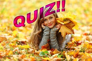 QUIZ o jesieni. Przysłowia, przyroda i inne ciekawostki. Kto jest jesieniarą, musi mieć komplet punktów!