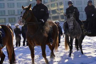 Warszawa: konie w policyjnej służbie