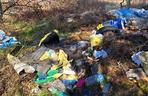 Tona śmieci na działkach pod Gorzowem. Burza w sieci