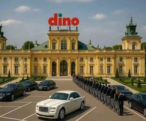 Memy o Dino obiegły social media