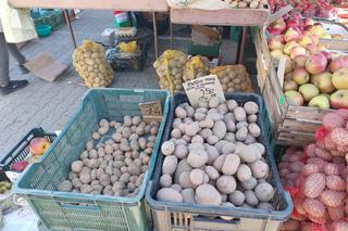 Byliśmy na bydgoskim targowisku. Tanio można kupić tylko wczorajsze rzodkiewki