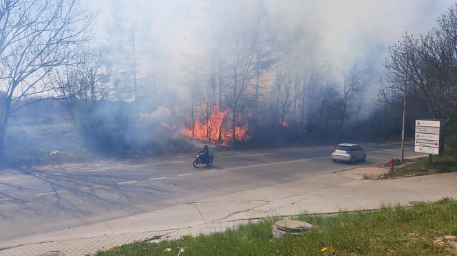 Duży pożar traw na Wzgórzach Krzesławickich