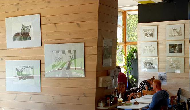 Tutaj popracujesz i zjesz coś dobrego! Oto TOP 8 kawiarni do pracy w Warszawie [PRZEGLĄD]