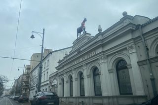 Lecznica „Pod Koniem” w Łodzi