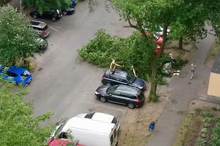 Wichura przeszła przez nasz region. Ponad 600 interwencji strażaków! [ZDJĘCIA]