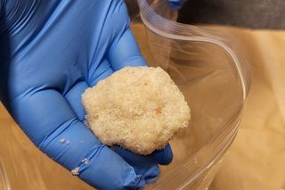 Werbowali prostytutki i czerpali zyski z nierządu. Grupa przestępcza rozbita przez lubelską policję