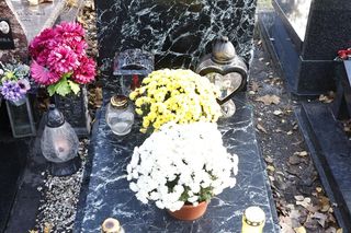 Tak wyglądają groby Zapasiewicza, Tyma, Kołaczkowskiej, Stoparczyk