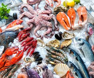 TABELA KALORII: ryby i owoce morza. Sprawdź, ile kalorii mają ryby i owoce morza!