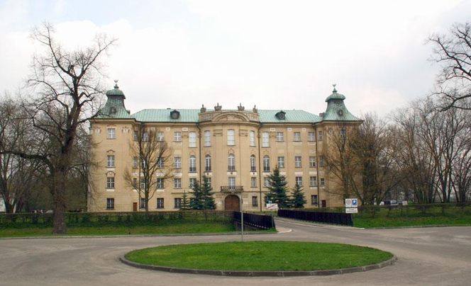 Pałac w Witosławiu