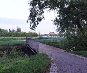 Park w gminie Mełgiew