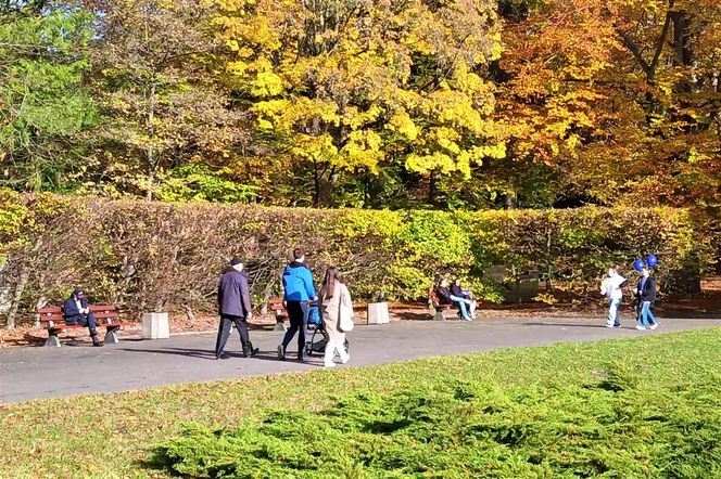 1 listopada na Cmentarzu Centralnym w Szczecinie