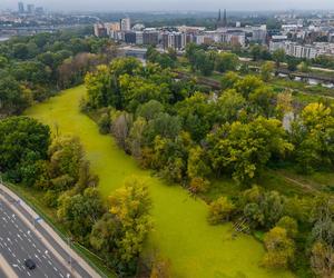 Port Praski - widok z drona, wrzesień 2024