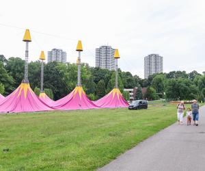 FEST Festival zwija manatki. Cisza zamiast głośnej muzyki w Parku Śląskim [ZDJĘCIA]