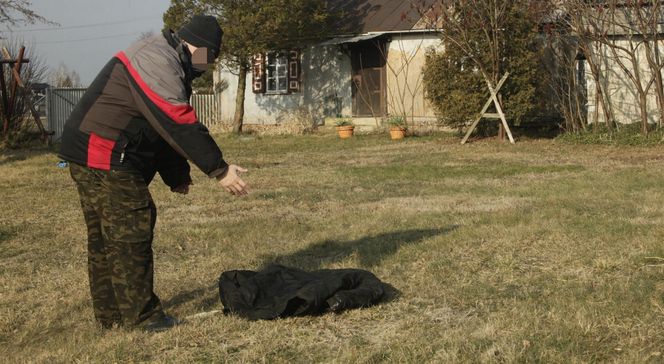 Byki stratowały niepełnosprawnego Bogdana. Mężczyzna chciał pomóc bratu, doszło do tragedii